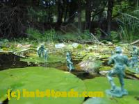 /home//u458753944/public_html/sourcegallery////Frogs/Bullfrogs 2016-08 Ontario/P8081393.JPG